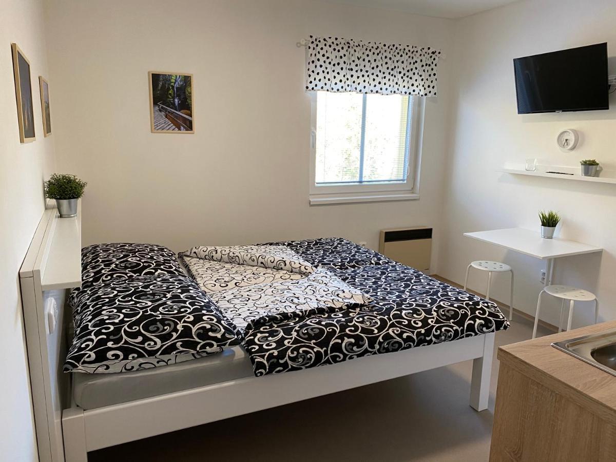 Apartmany Nad Parkem 布劳莫夫 外观 照片