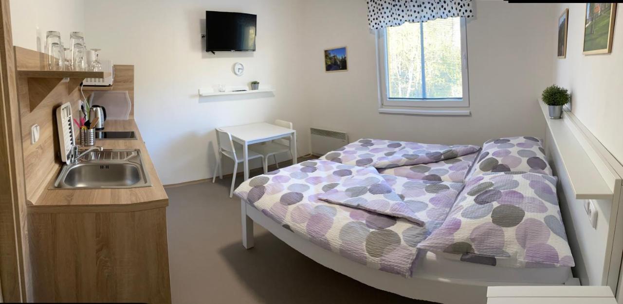 Apartmany Nad Parkem 布劳莫夫 外观 照片